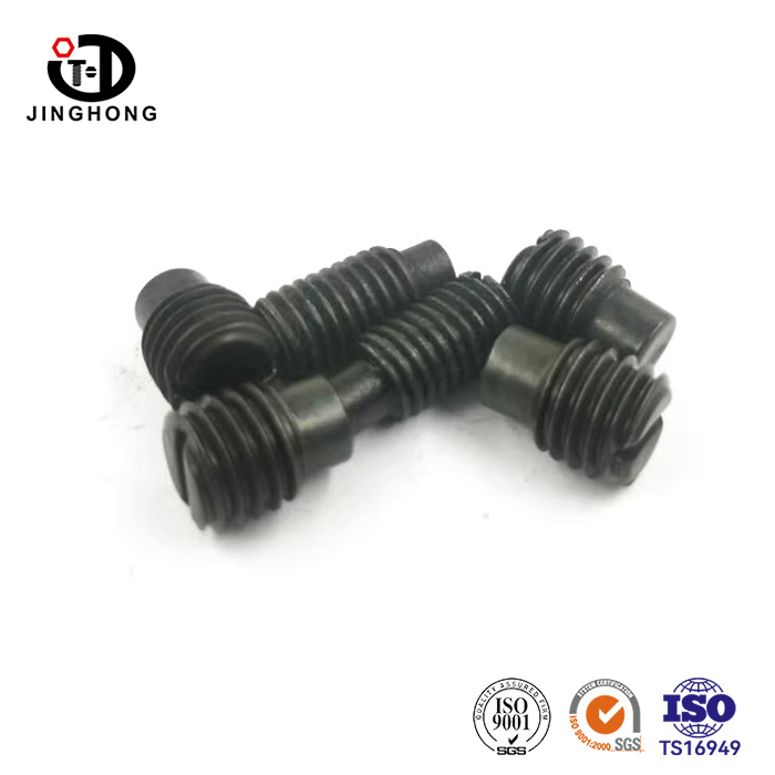 Slotted Cheese Head Screws