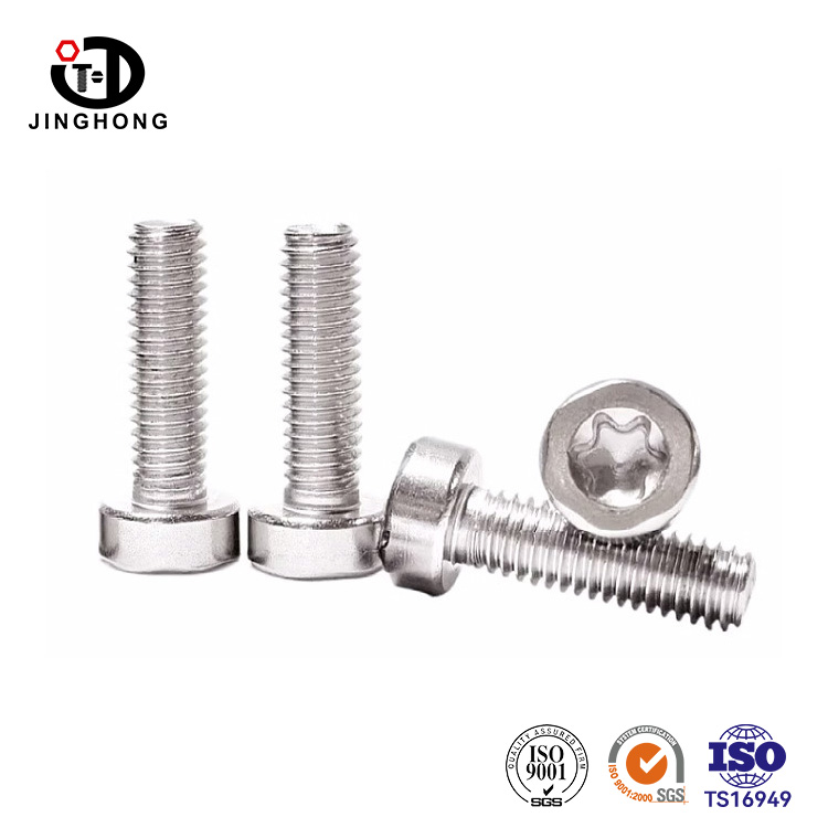 Stainless Steel Torx Screw